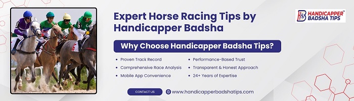 Get Bol Race Card Today for Accurate Race Predictions