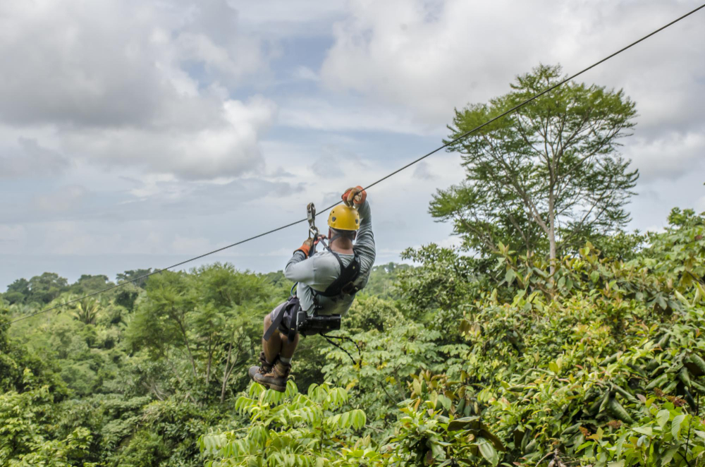 Why Amazon Tours in Peru Offer the Best Wildlife Experiences
