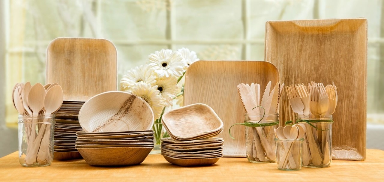 Raw Material Requirements for Setting Up a Bagasse Based Biodegradable Cutlery Manufacturing Plant
