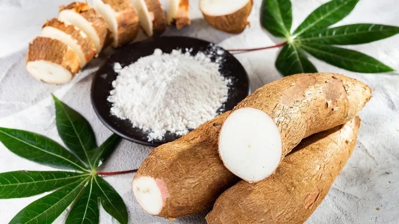 Setup Report on Cassava Processing Plant- Detailed Process Flow, Project Cost and Economics