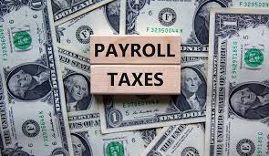 What Reduced Payroll Taxes Mean for Small Businesses in 2025