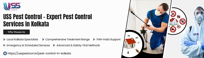 Affordable Pest Control Service in Kolkata with Fast Results
