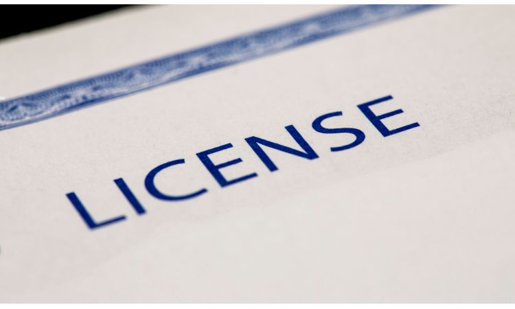 Licensed Sports Merchandise Market Trends & Global Appeal