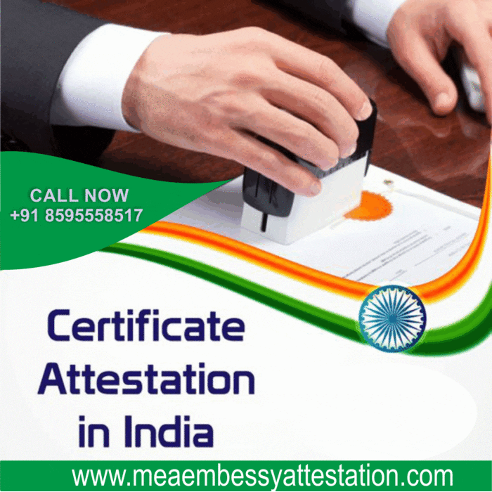 Birth Certificate Apostille Service