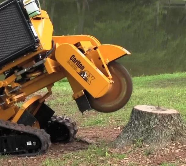stump grinding North Shore