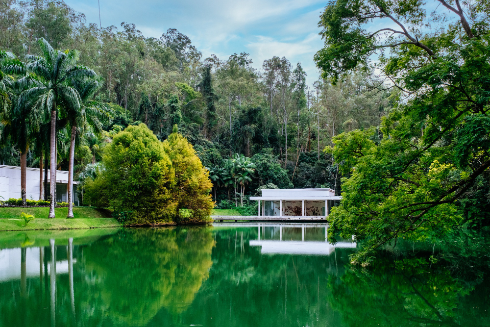 Why Must You Go For a Bird Watching Tour in Panama?