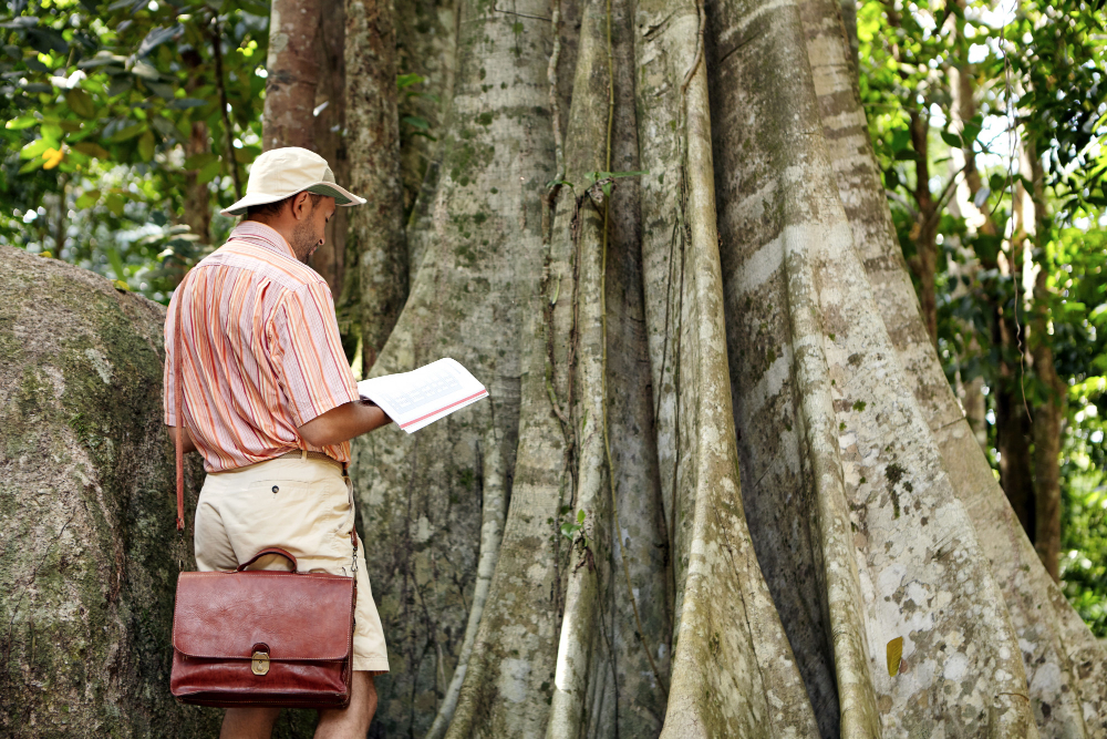 amazon rainforest tours