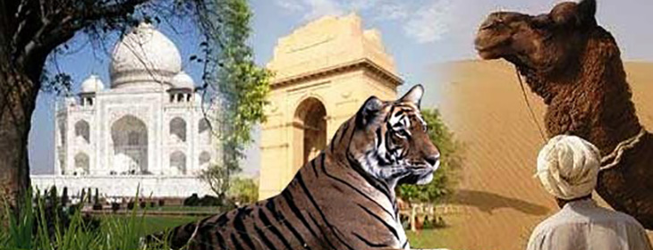 Ranthambore wildlife tour holiday package