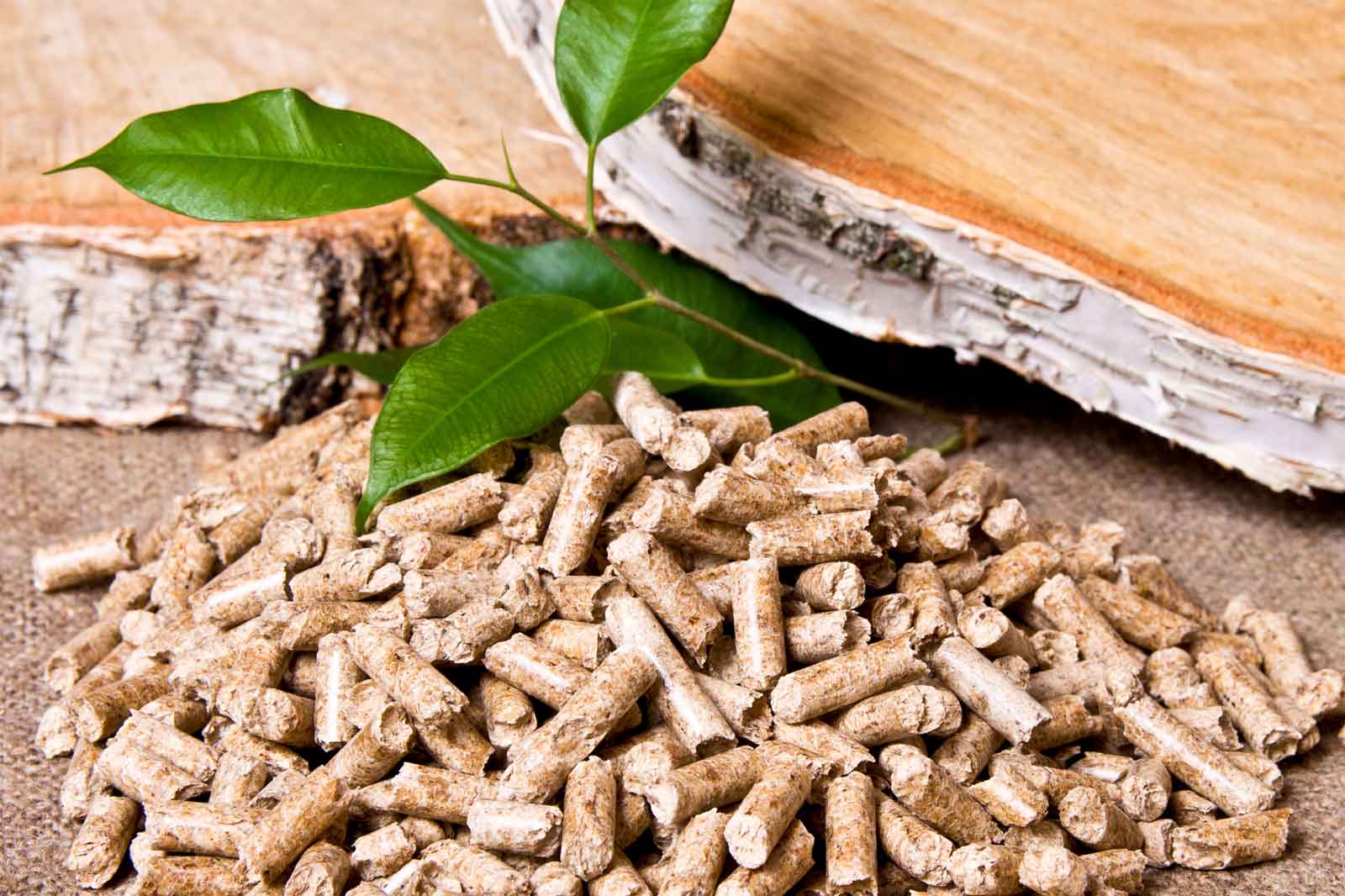 Rice Straw Pellet Supplier