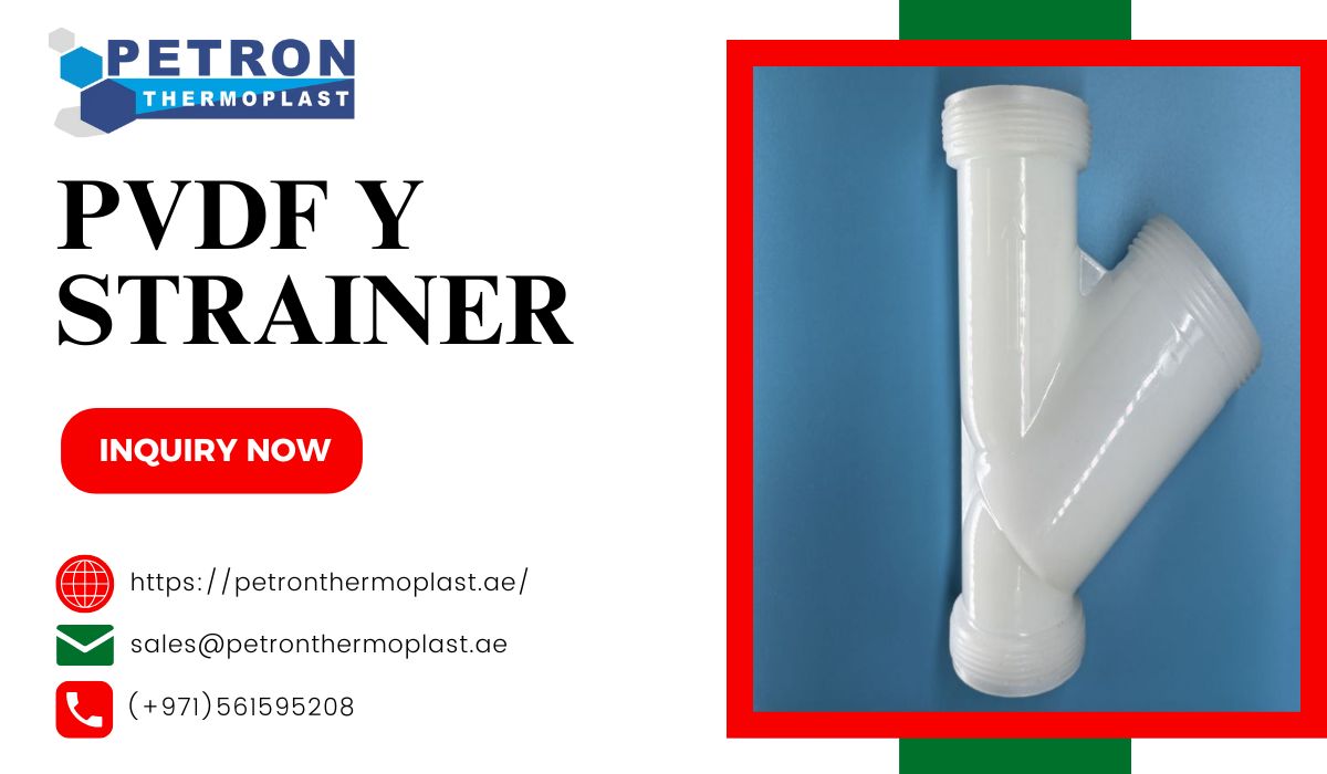 PVDF Y Strainer