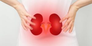 Blocked Blood Flow to the Kidneys: Symptoms You Should Never Ignore – Insights from the Best Nephrology Doctor in Greater Noida