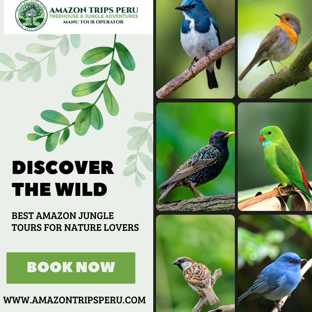Why Choose Amazon Tours in Peru for Your Next Trip