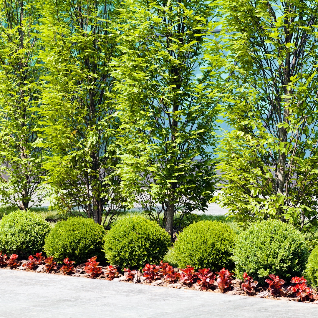 commercial landscaping near me
