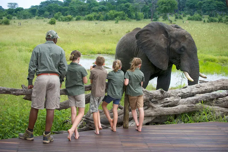 Family Safaris