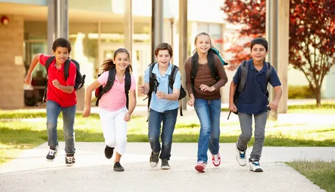 school safety solutions