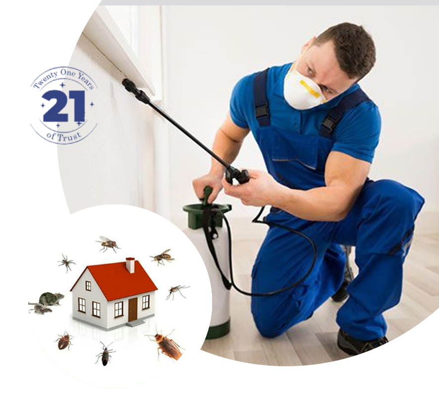 Pest Control Kolkata