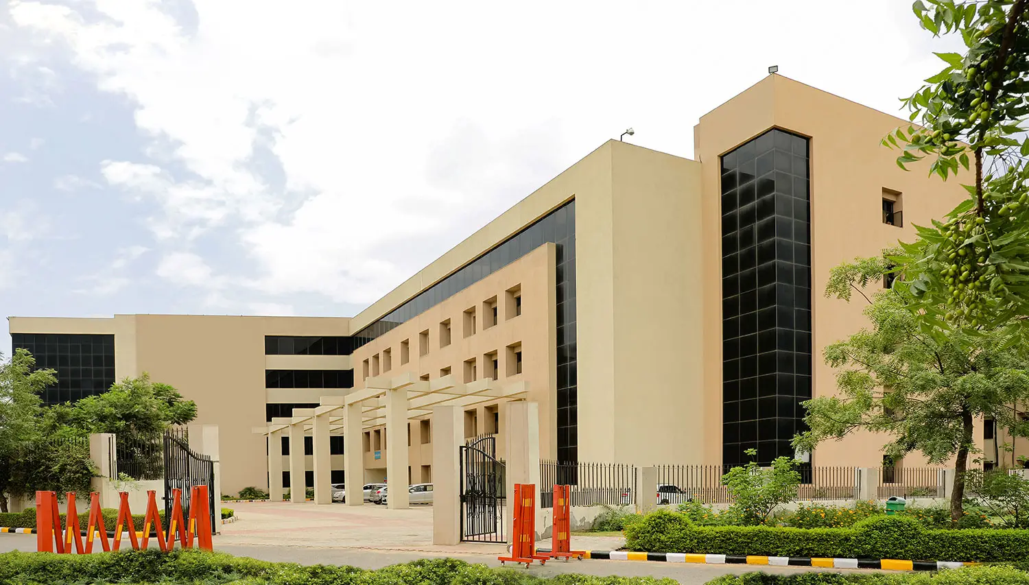 Best University in Delhi NCR