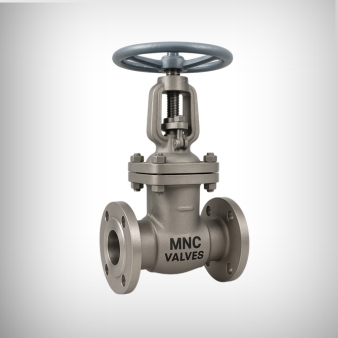 A Complete Guide to Gate Valve Manufacturers in India