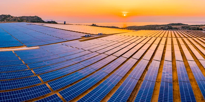 Transforming Energy for a Sustainable Future with Redington’s Solar Solutions
