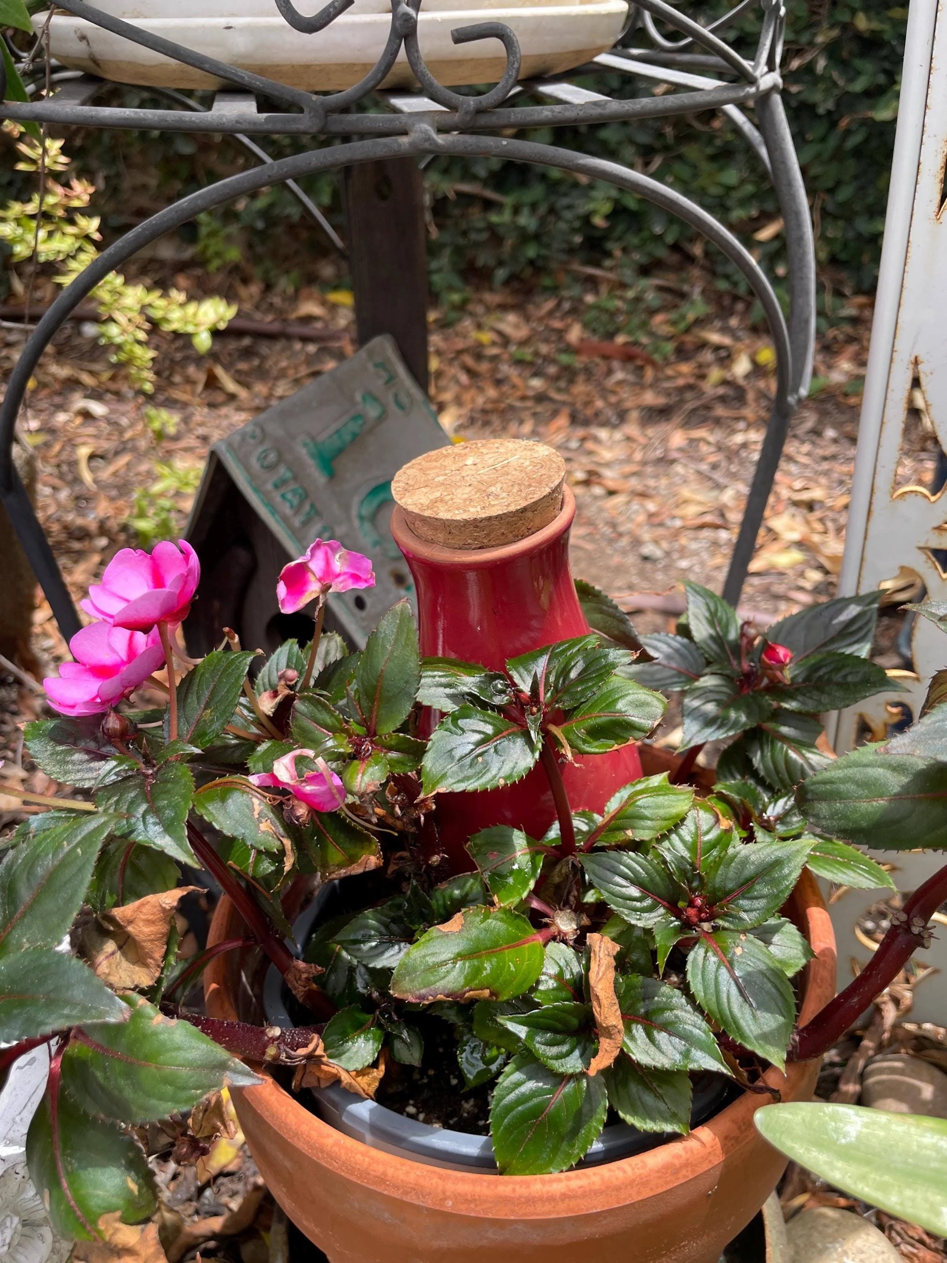 self watering system smartiliving
