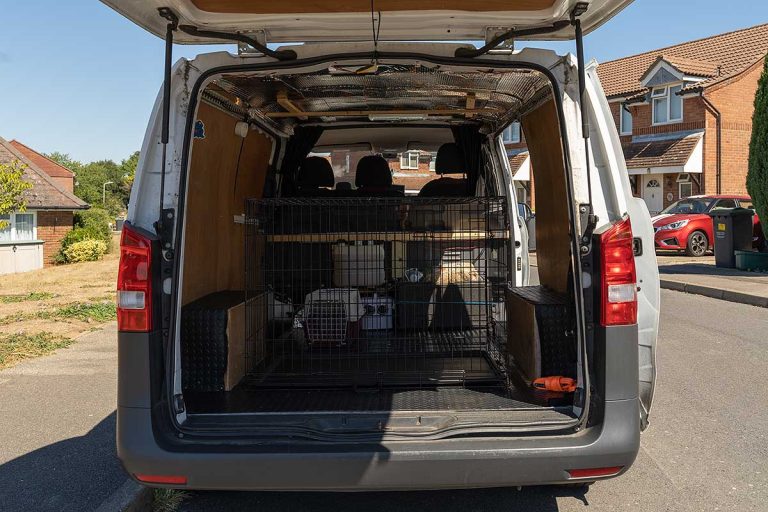 pet transportation services