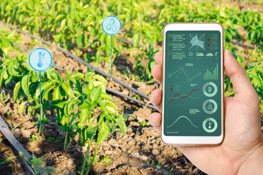 Commercial Irrigation System