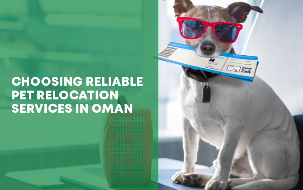 pet relocation services