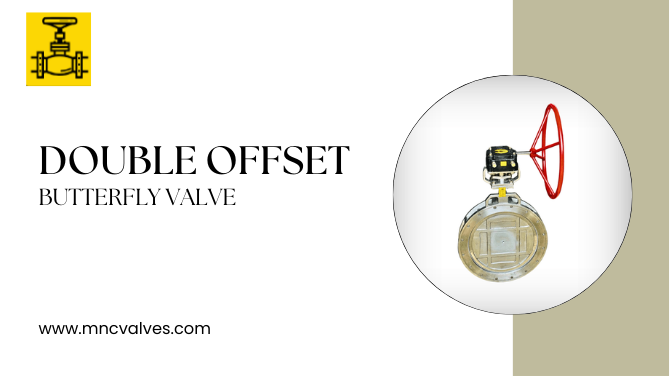 Double Offset Butterfly Valve Manufacturers Ahmedabad, India