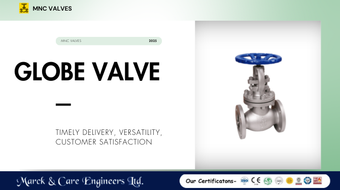 Globe Valve Manufacturer in Ahmedabad, India | MNC Valves