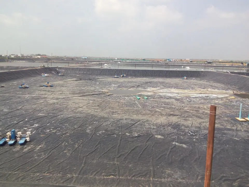 Liner for Aquaculture Pond