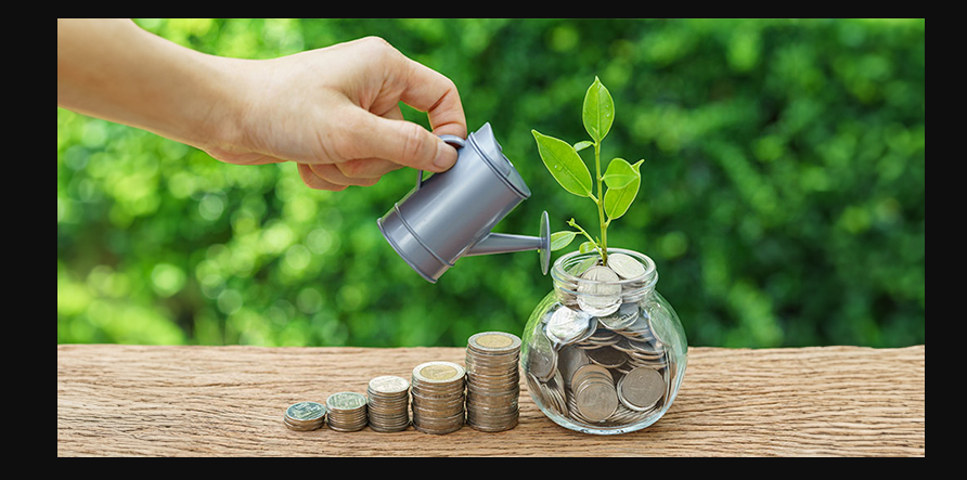 Savings Account