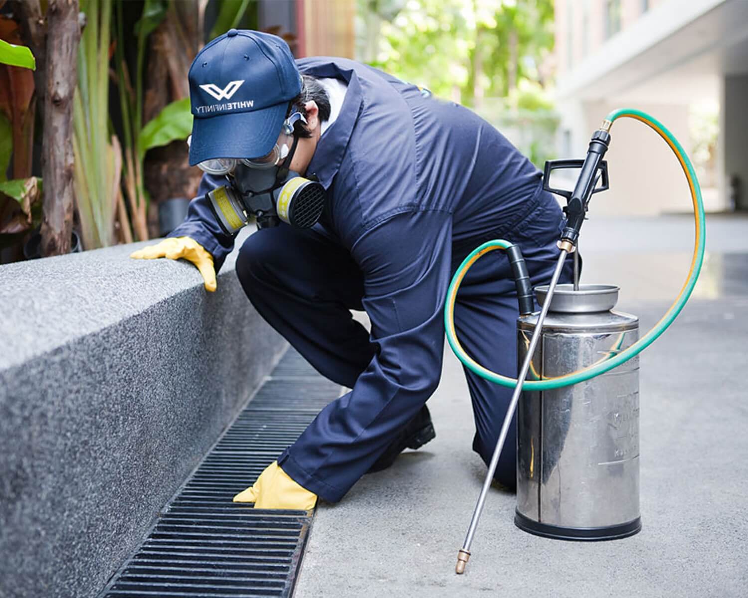 The Ultimate Solution for All Your Pest Management Needs