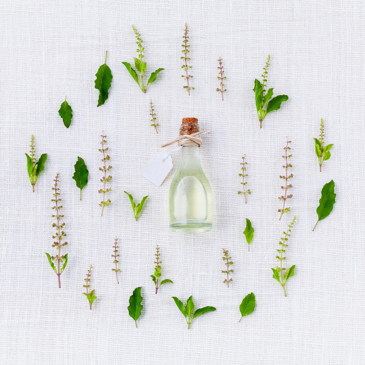 Peppermint oil Exporter in India