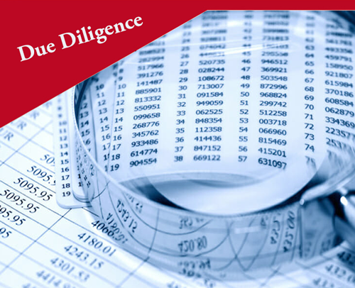 Due Diligence Service