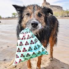 Gogostik: Revolutionizing Pet Waste Management with Durable Tools and Bags