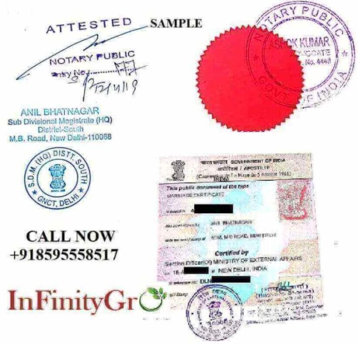 Pcc Apostille Service