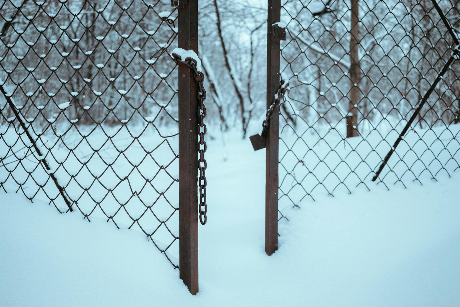 Snowy landscape with open gate and chain link fence posts, showing winter conditions.