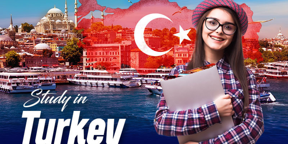 Undergraduate IT and computing programs