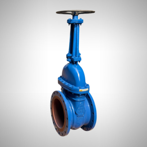 Gate Valve Manufacturers in Ahmedabad, India | MNC Valves