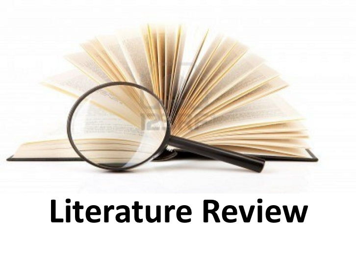 Literature Review Writing Services