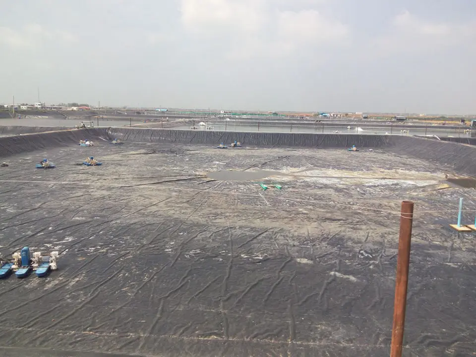 Aquaculture Pond Liner