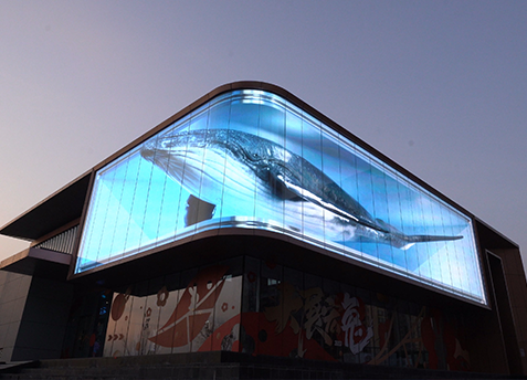 Transparent LED Display Film