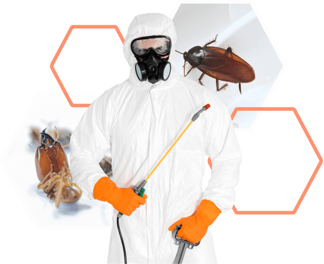 Industrial Pest Control Service in Jaipur