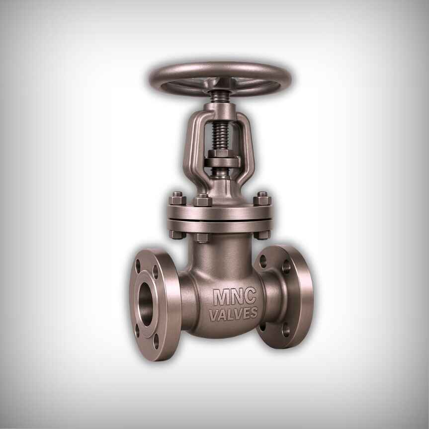Globe Valve Manufacturer in Ahmedabad, India | MNC Valves