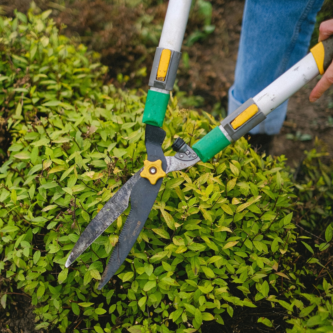 hoa landscape maintenance companies