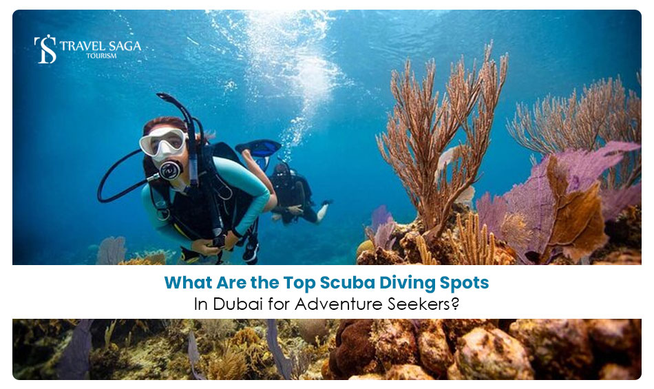image-What-Are-the-Top-Scuba-Diving-Spots-in-Dubai-for-Adventure-Seekers