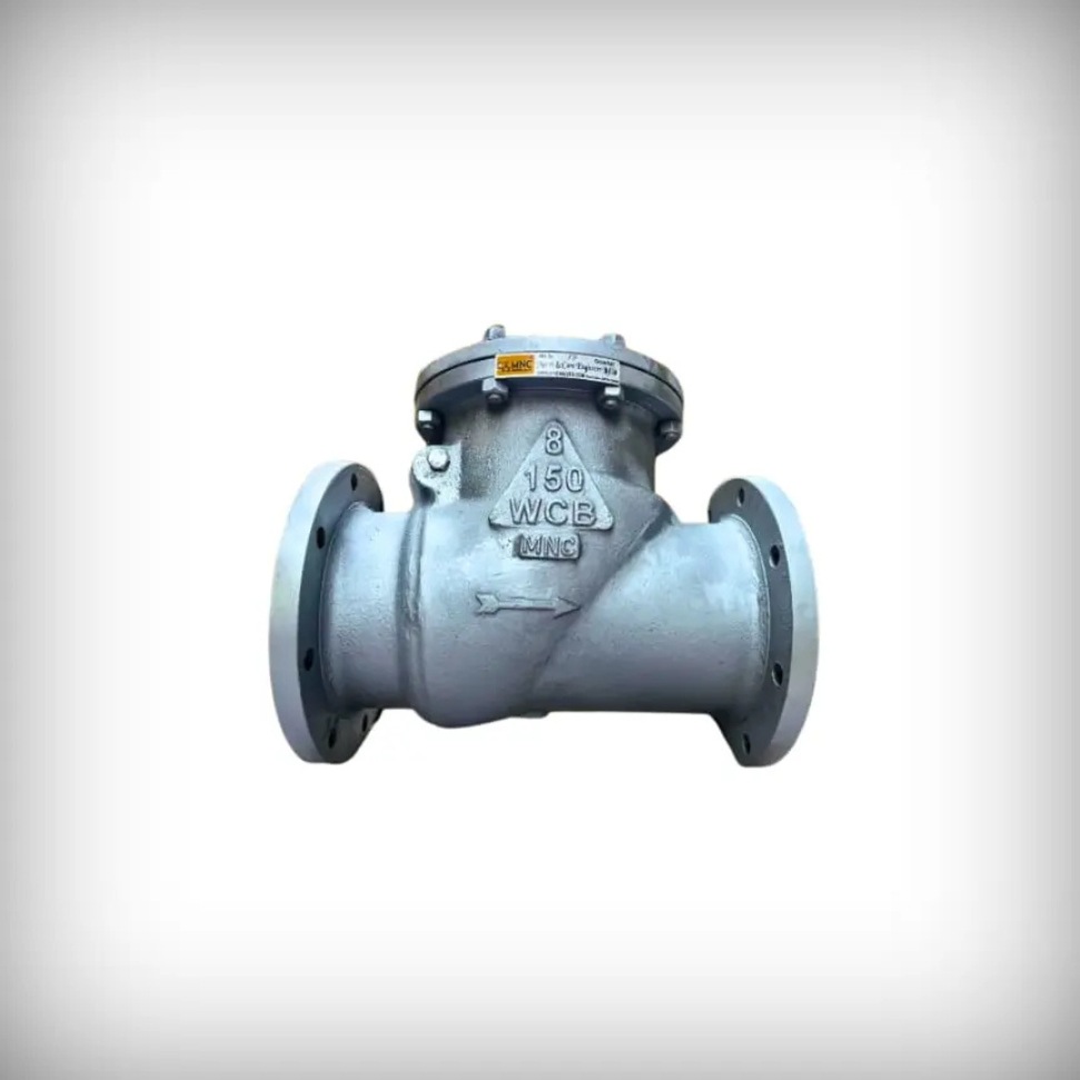 Non Return Valve Manufacturers and Exporter in India