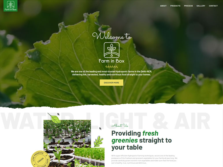 Jewellery Ecommerce Website Development