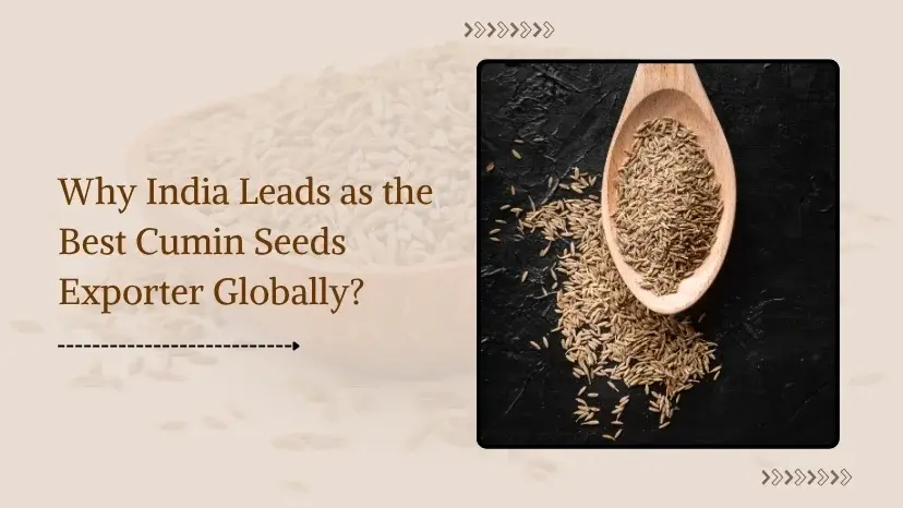 Cumin Seeds Exporters from India