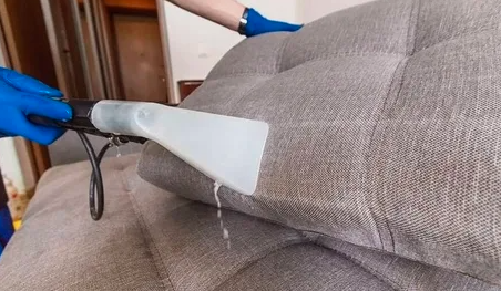 Top Carpet Cleaning Services in Coral Gables, Miami fabric protection